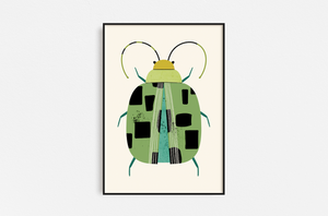 Insecto - Escarabajo Verde