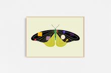 Cargar imagen en el visor de la galería, Insecto - Mariposa Verde