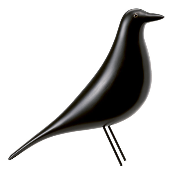 Pájaro Negro