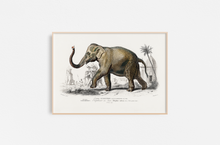Cargar imagen en el visor de la galería, Vintage Elefante