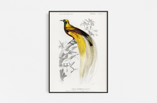 Cargar imagen en el visor de la galería, Vintage Pájaro Amarillo