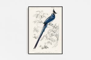 Vintage Pájaro Azul 02